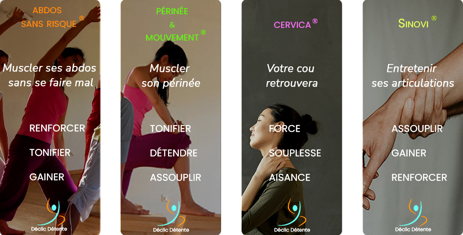 les domaines 							du geste anatomique : Abdos sans risque, Périnée et Mouvement,Sinovi, Cervica